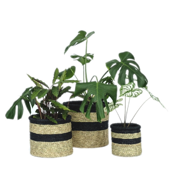 Picture of Basket - Black Stripe M