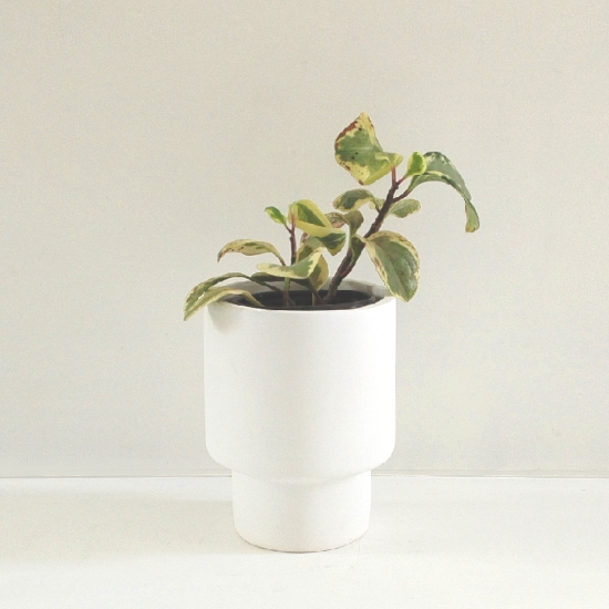 Picture of Berlin - Ceramic Planter